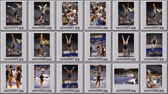 college gymnastics photos