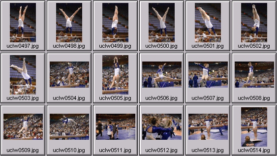 college gymnastics photos