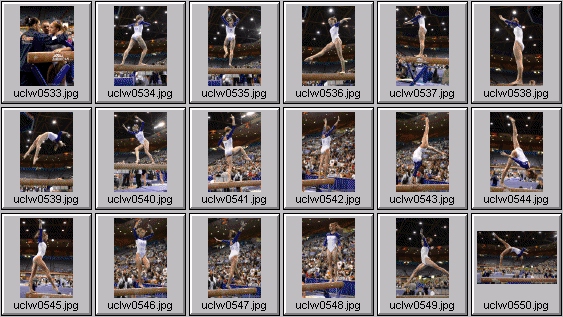 college gymnastics photos