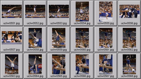 college gymnastics photos