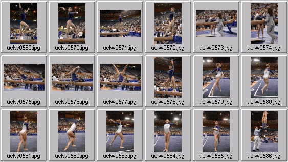 college gymnastics photos