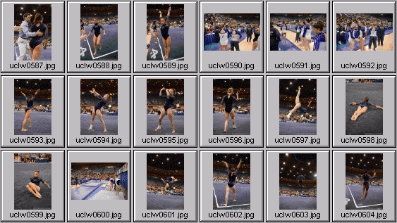 photosport ® | Stock Photos - College gymnastics photos 1891-1908