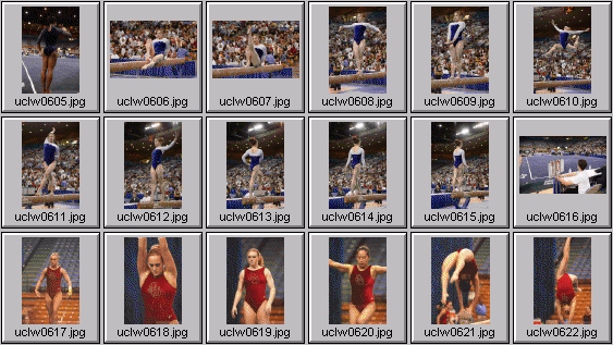 college gymnastics photos