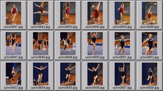 college gymnastics photos