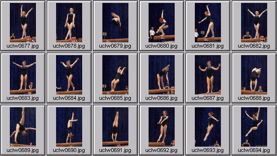 college gymnastics photos