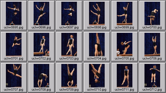 college gymnastics photos