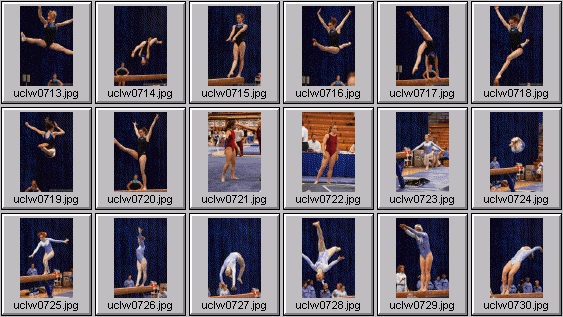 college gymnastics photos