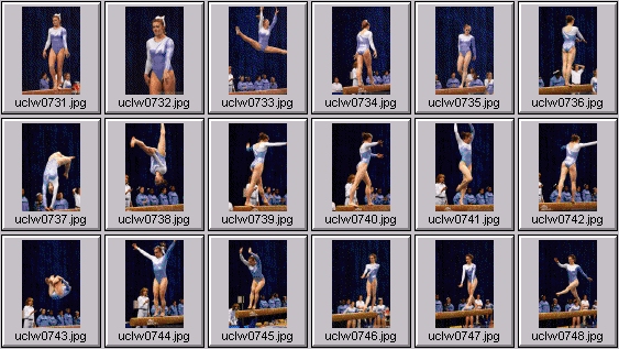 college gymnastics photos