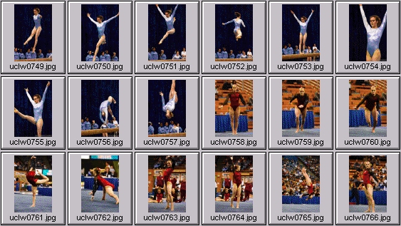 college gymnastics photos