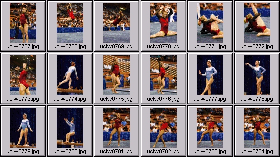 college gymnastics photos