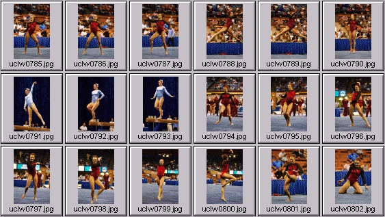 college gymnastics photos