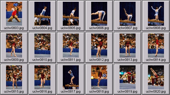 college gymnastics photos