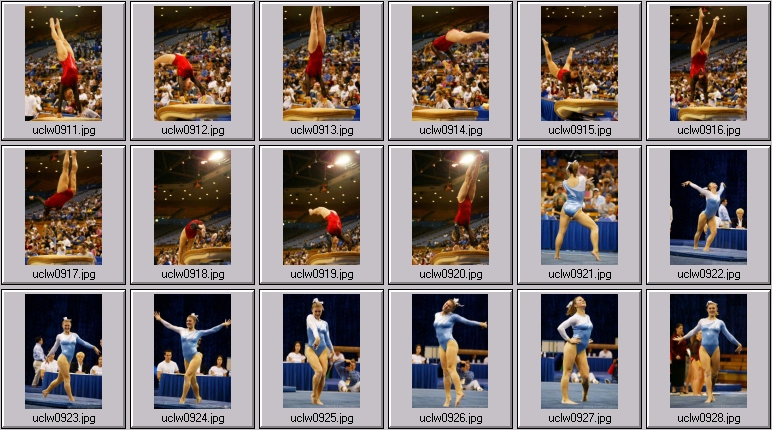 womens gymnasts