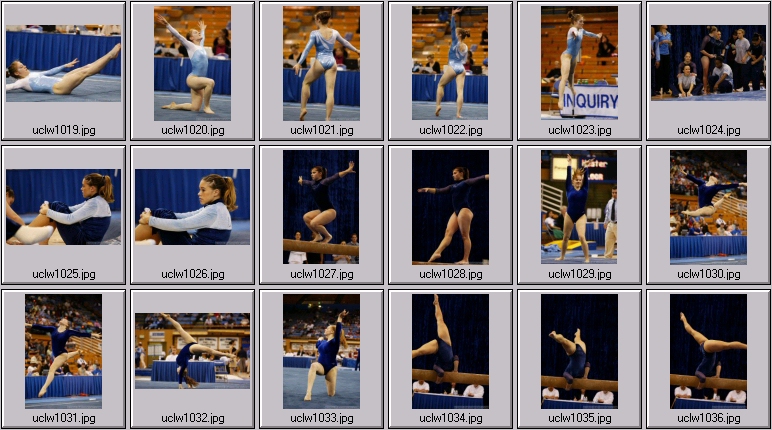 womens gymnasts