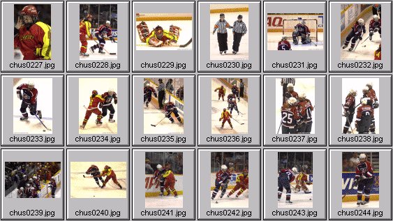 womens hockey photos