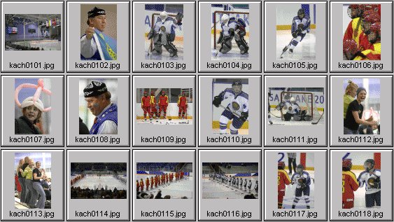 womens hockey photos