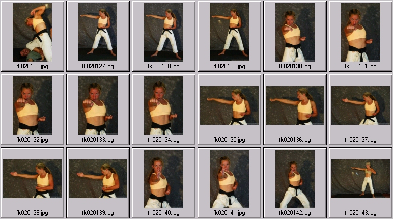 Martial Arts Photos - female kombat