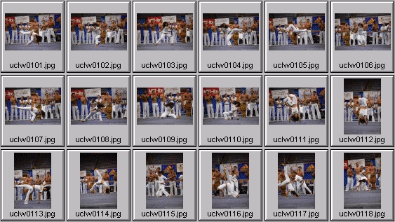 womens martial arts photos