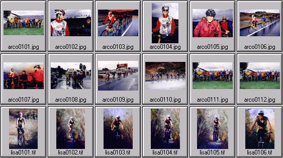 women's mountain biking photos