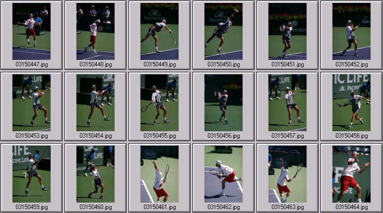 lleyton hewitt photos