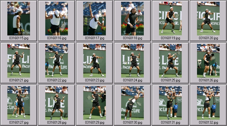 lleyton hewitt photos