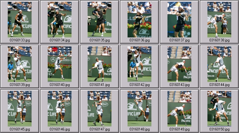 robby ginepri photos