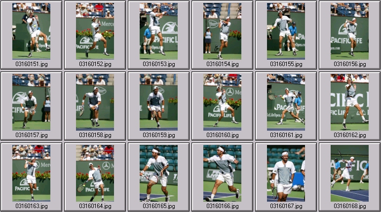 robby ginepri photos