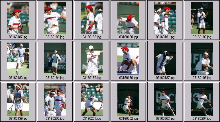 robby ginepri photos