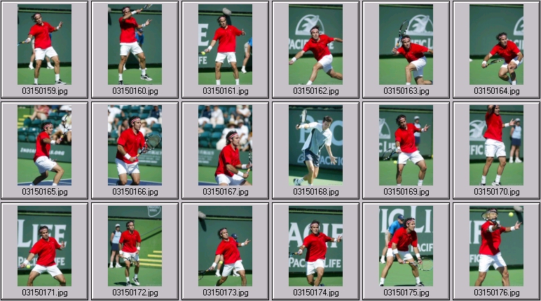 alex corretja photos, tim henman photos