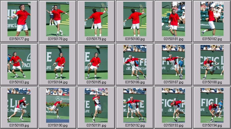 alex corretja photos, tim henman photos