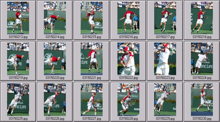 marat safin andy roddick photos