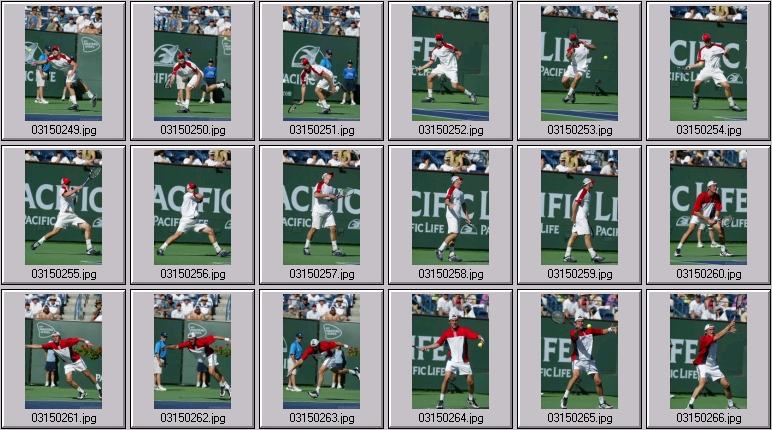 marat safin andy roddick photos