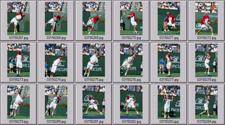 marat safin andy roddick photos