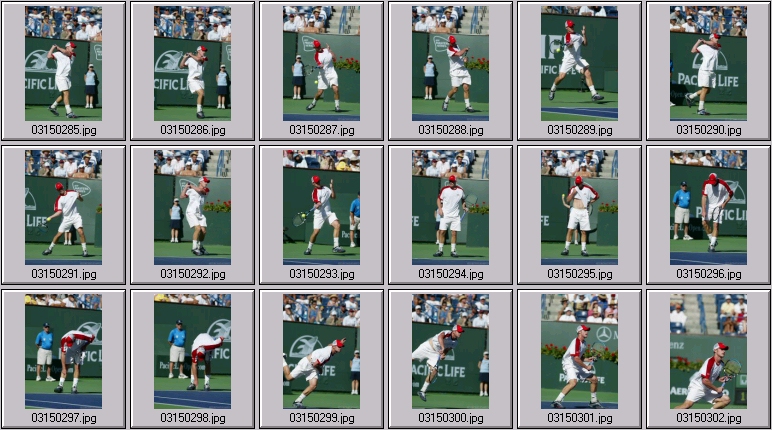 marat safin andy roddick photos