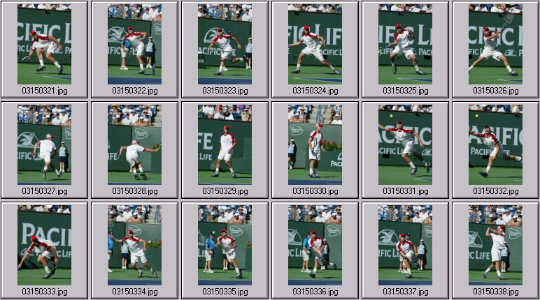 marat safin andy roddick photos