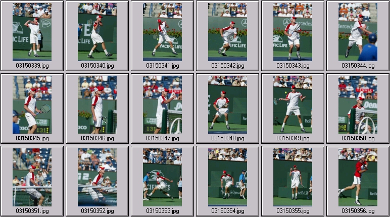 marat safin andy roddick photos