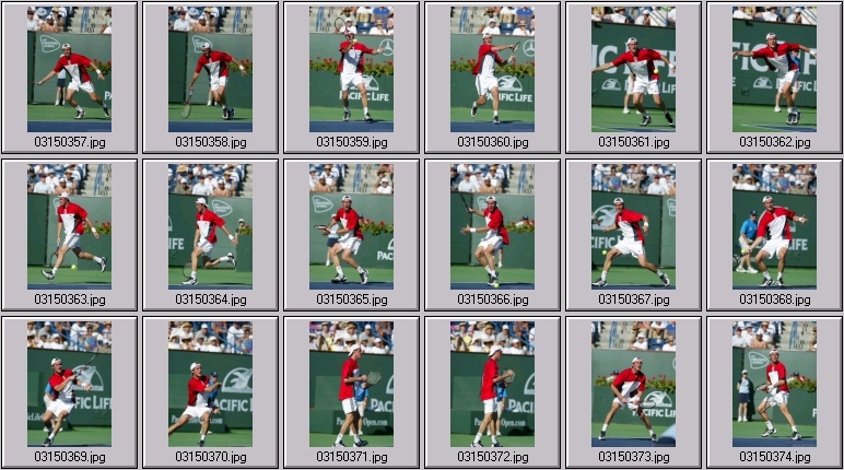 marat safin andy roddick photos