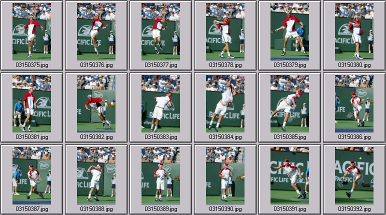 marat safin andy roddick photos