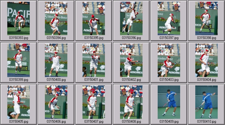 taylor dent andy roddick photos