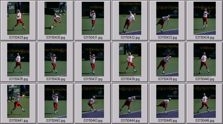 lleyton hewitt photos