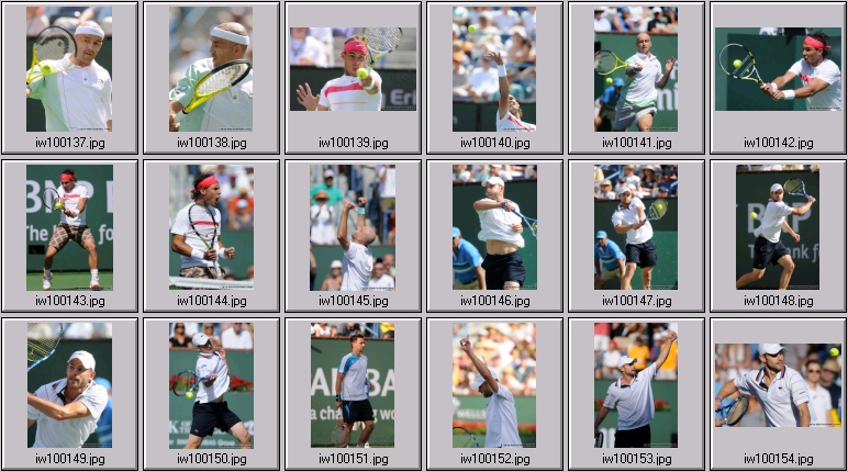 bnp paribas open photos