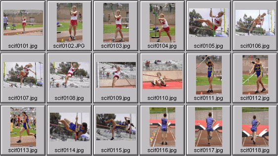 Women's Polevaulting Photos