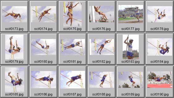 Women's Polevaulting Photos