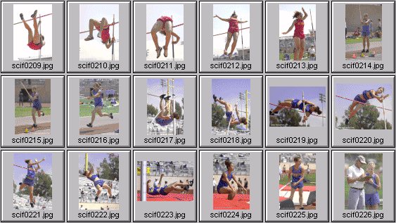 Women's Polevaulting Photos