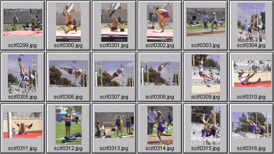 Women's Polevaulting Photos