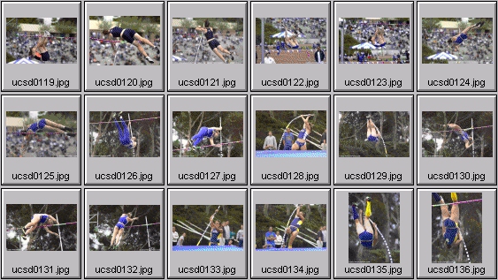 Women's Polevaulting Photos