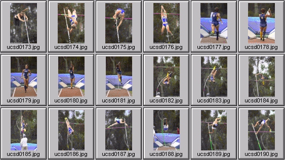 Women's Polevaulting Photos