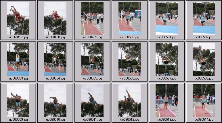 women's polevaulting