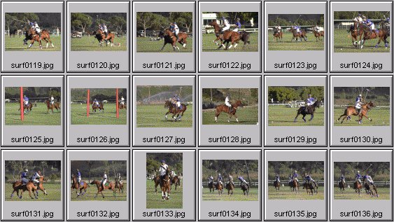horse polo photos