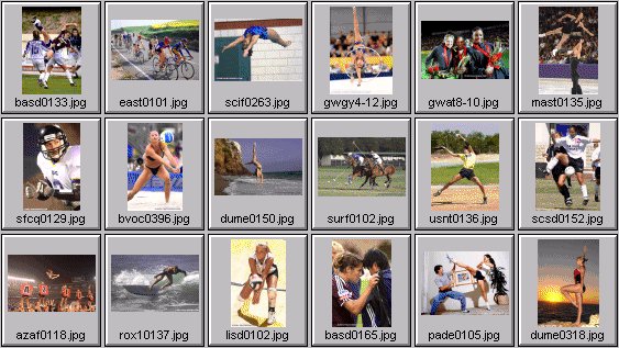 womens sports photo highlights